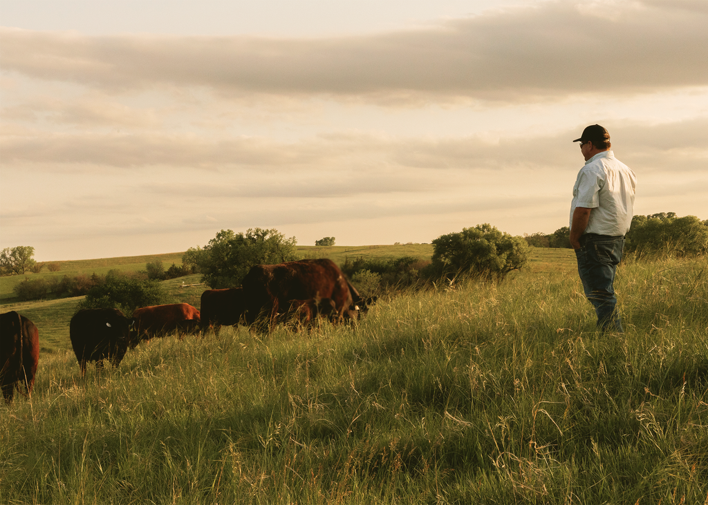 Sustainability in Wagyu Ranching: Our Commitment to the Environment