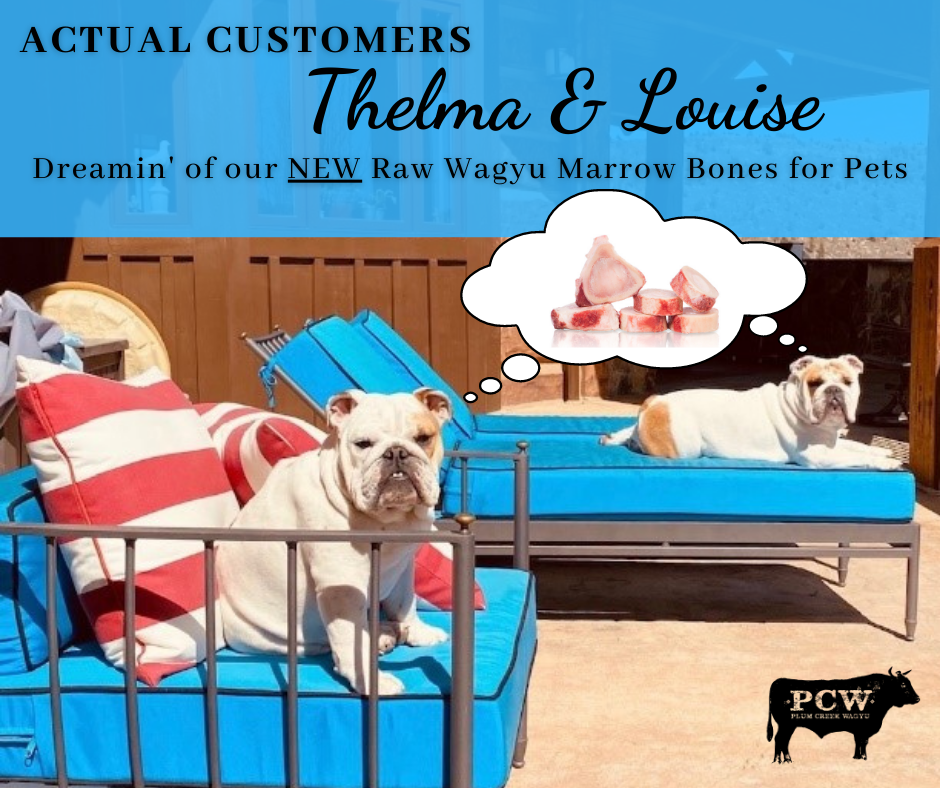 Where can i buy sales raw bones for my dog